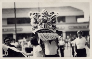 Lion Parade   